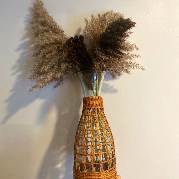 8 Piece Bundles-Dried Natural Pampas Grass - Picture 5 of 8